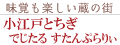 小江戸とちぎ でじたる すたんぷらりぃ